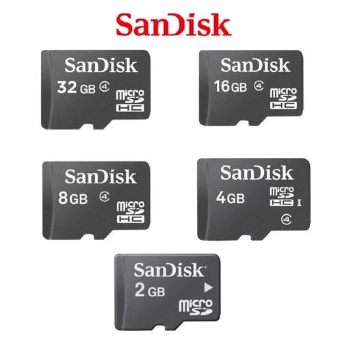 Scheda memoria sandisk - scheda, gb