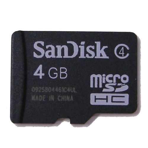 Scheda memoria sdhc 100 - memoria,